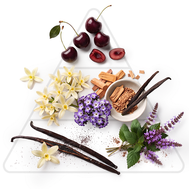 Duftpyramide Patchouli & White Vanilla: Kopfnote Kirsche – Herznote Vanilleblüte, Heliotrop, Zeder – Basisnote Vanille, Patchouli
